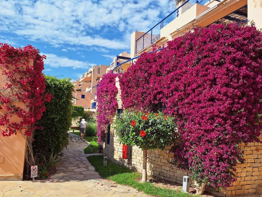Sea View Cozy Apartment La Tanita モハカル エクステリア 写真